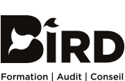 bird-formation-logo